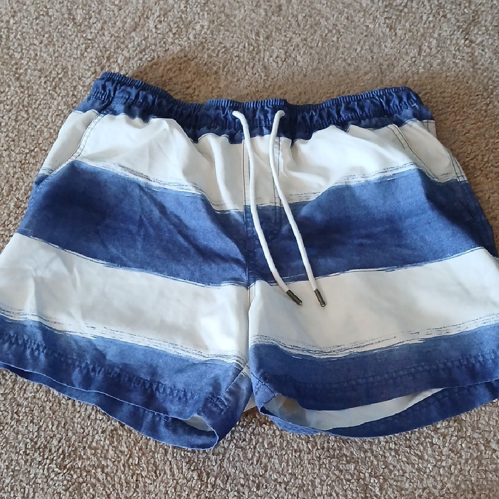American Eagle Outfitters Navy and White Athletic Shorts